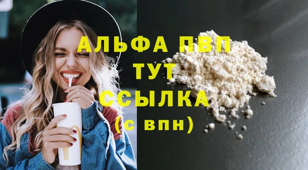 хмурый Алексин