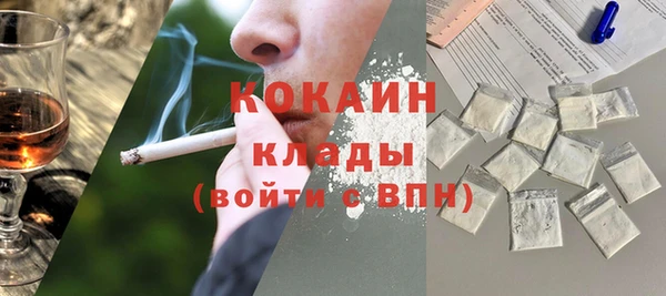 хмурый Алексин