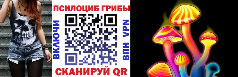 даркнет сайт Байкальск Галлюциногенные грибы Psilocybe