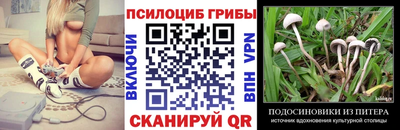 Псилоцибиновые грибы ЛСД Байкальск